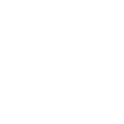 CraftCMS to WordPress Migration