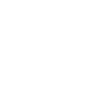 CraftCMS to WordPress Migration
