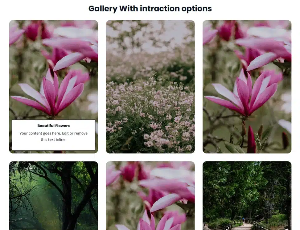 modern gallery card layout with hover effects